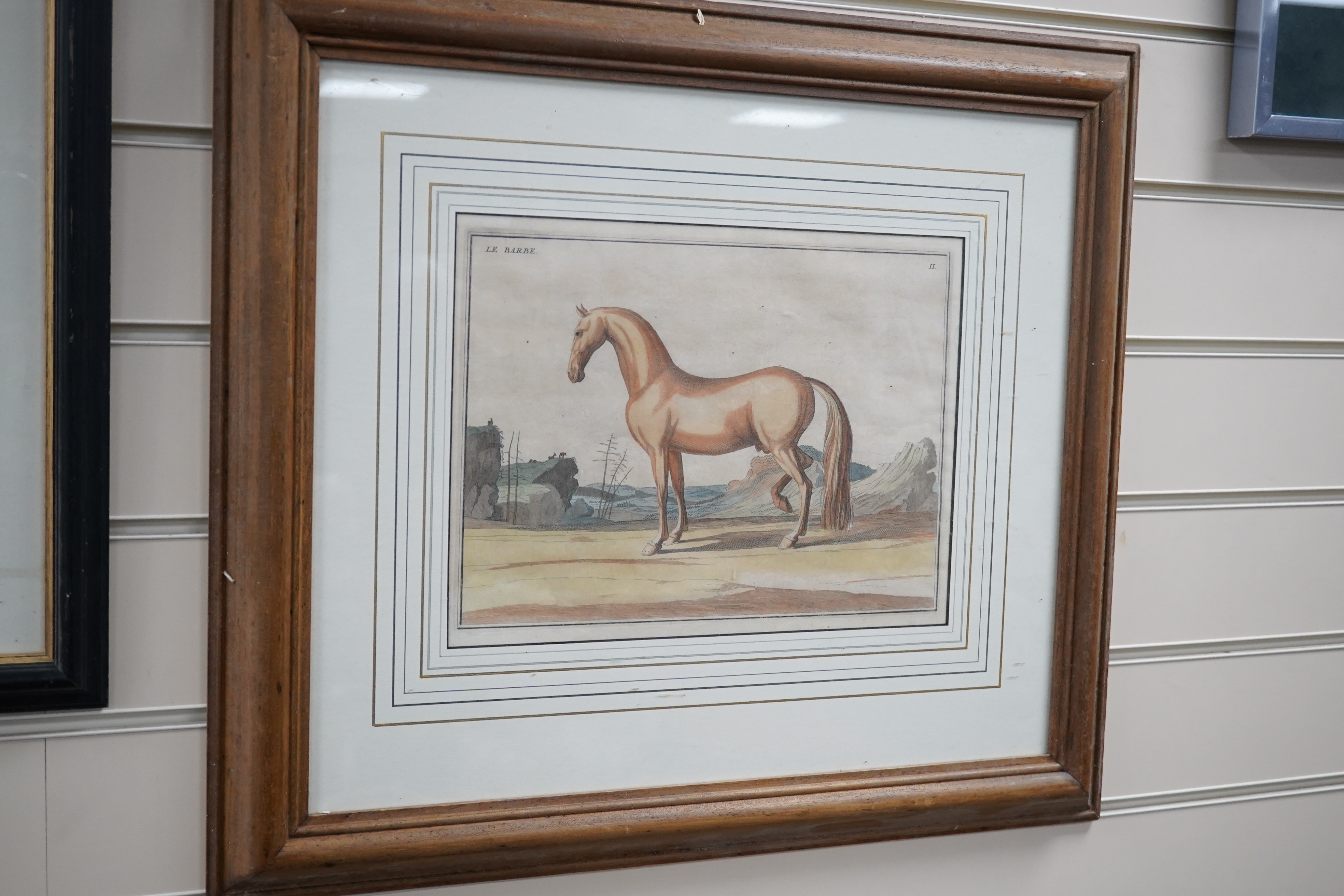 Four 18th/19th century coloured etchings, horses to include ‘Le Napolitain’ and ‘Le Turc’, 23 x 30cm. Condition - fair